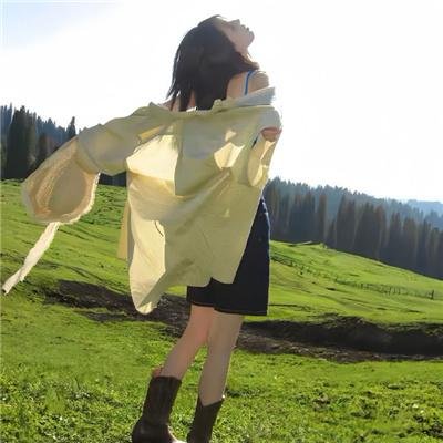 钢铁苍穹2：即临种族